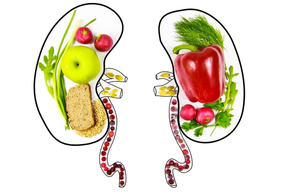 Чому правильне харчування важливе й що корисно для нирок3